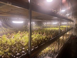 손 무현님의 기타작물 · 영농일지 작성글 사진