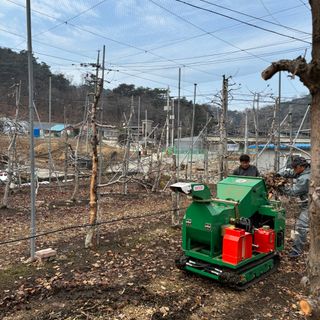 오영세님의 기타작물 · 영농일지 작성글 사진