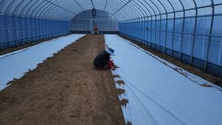 귀촌의꿈님의 파 · 영농일지 작성글 사진