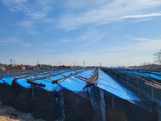 하늘아래삼 님의 기타작물 · 영농일지 작성글 사진