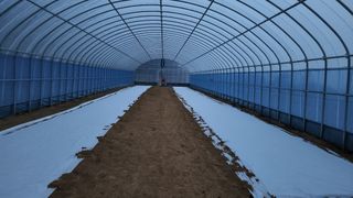 귀촌의꿈님의 파 · 영농일지 작성글 사진