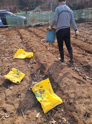 최한기님의 기타작물 · 영농일지 작성글 사진