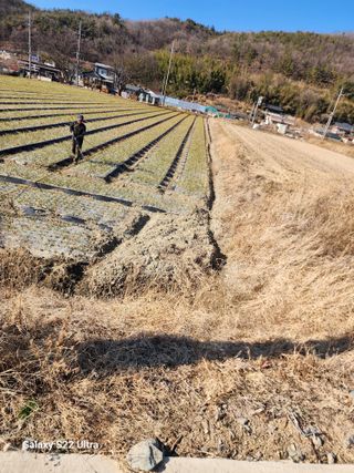 박종권님의 마늘 · 영농일지 작성글 사진