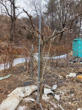 행복한일상님의 기타작물 · 영농일지 작성글 사진