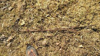 임병로님의 복숭아 · 영농일지 작성글 사진