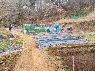 차태현님의 기타작물 · 영농일지 작성글 사진