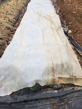 팜모닝 기타작물·영농일지 게시글 이미지