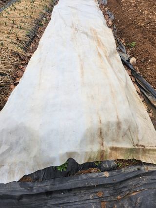 최용은님의 기타작물 · 영농일지 작성글 사진