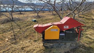 임병로님의 복숭아 · 영농일지 작성글 사진