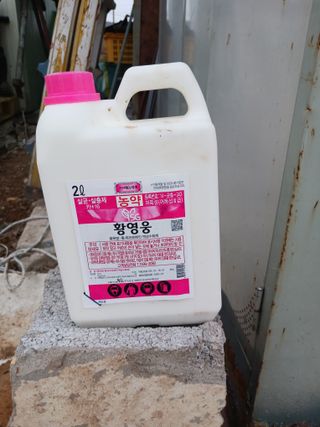 천성을향하여님의 기타작물 · 영농일지 작성글 사진