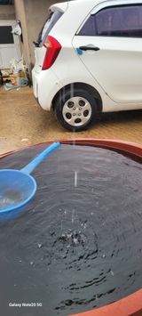 팜모닝 양파·영농일지 게시글 이미지