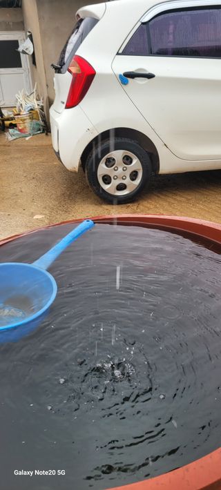 김동제님의 양파 · 영농일지 작성글 사진