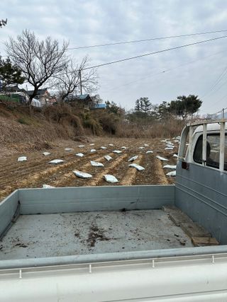 인산님의 기타작물 · 영농일지 작성글 사진