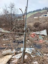 팜모닝 기타작물·영농일지 게시글 이미지