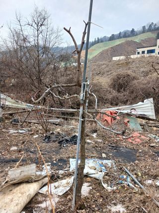 행복한일상님의 기타작물 · 영농일지 작성글 사진