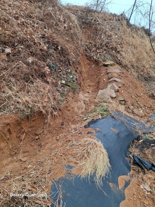 이세순님의 기타작물 · 영농일지 작성글 사진
