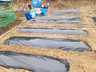 차태현님의 기타작물 · 영농일지 작성글 사진