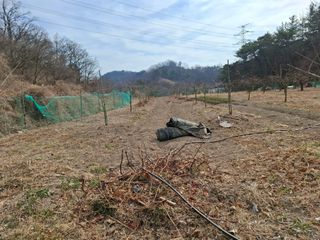 단감님의 기타작물 · 영농일지 작성글 사진