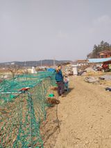 팜모닝 기타작물·영농일지 게시글 이미지