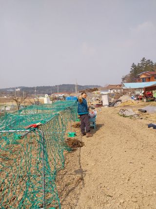 서종남님의 기타작물 · 영농일지 작성글 사진