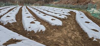 진촌다육묘목농원님의 기타작물 · 영농일지 작성글 사진