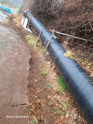 이세순님의 기타작물 · 영농일지 작성글 사진