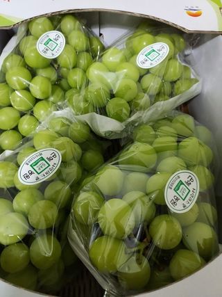 매실10696님의 기타작물 · 영농일지 작성글 사진