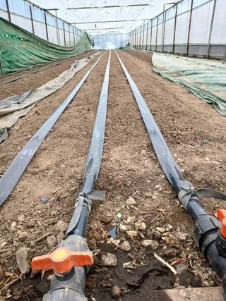 두릅나무16138님의 기타작물 · 영농일지 작성글 사진