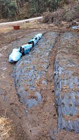 팜모닝 기타작물·영농일지 게시글 이미지