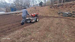 한성대 (61년생)님의 감자 · 영농일지 작성글 사진