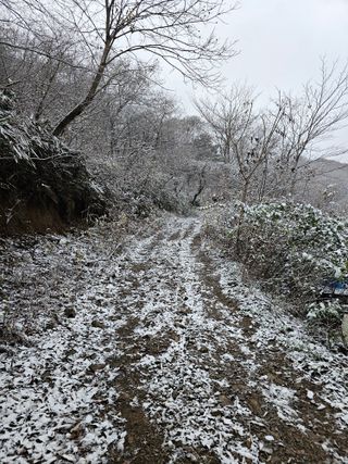 산삼님의 기타작물 · 영농일지 작성글 사진