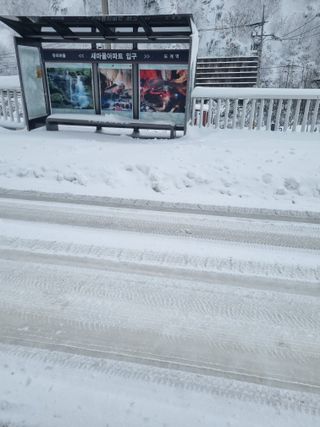 김용대님의 기타작물 · 영농일지 작성글 사진