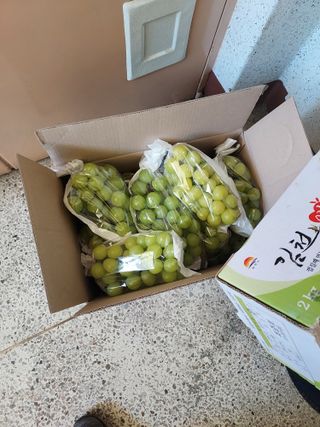 매실10696님의 기타작물 · 영농일지 작성글 사진