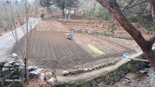 한성대 (61년생)님의 감자 · 영농일지 작성글 사진