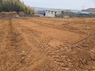 소병기 정직한농장님의 기타작물 · 영농일지 작성글 사진