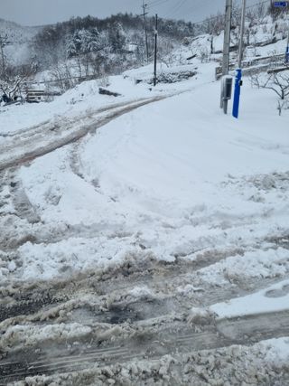 김용대님의 기타작물 · 영농일지 작성글 사진