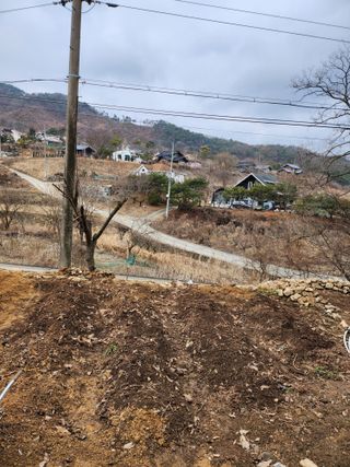 툇골짜기님의 기타작물 · 영농일지 작성글 사진