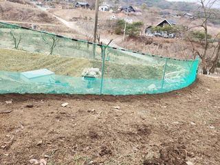 툇골짜기님의 기타작물 · 영농일지 작성글 사진