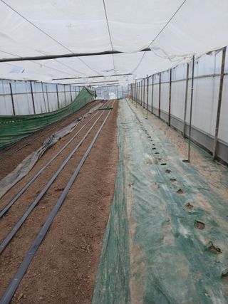 두릅나무16138님의 기타작물 · 영농일지 작성글 사진