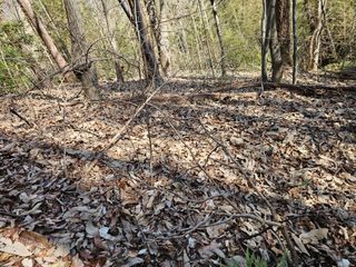 산삼님의 기타작물 · 영농일지 작성글 사진