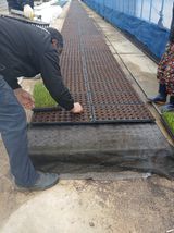 팜모닝 고추·영농일지 게시글 이미지