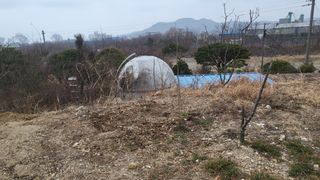 괴동조합장님의 기타작물 · 영농일지 작성글 사진