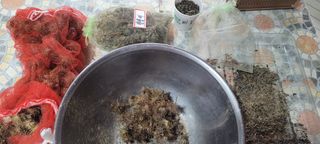 김정은님의 기타작물 · 영농일지 작성글 사진