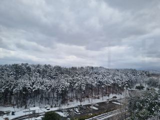 참깨16081님의 기타작물 · 영농일지 작성글 사진