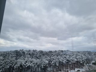 참깨16081님의 기타작물 · 영농일지 작성글 사진