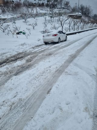 김용대님의 기타작물 · 영농일지 작성글 사진