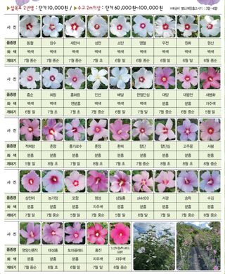 기중권님의 기타작물 · 영농일지 작성글 사진