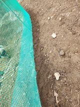 팜모닝 기타작물·영농일지 게시글 이미지