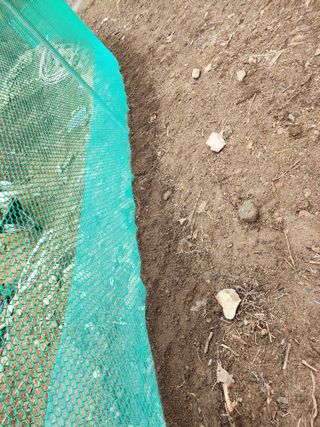 툇골짜기님의 기타작물 · 영농일지 작성글 사진