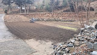 한성대 (61년생)님의 감자 · 영농일지 작성글 사진